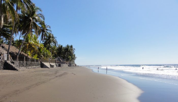 A Dose Of Palm Trees: The Beaches Of El Salvador - centralamerica.com